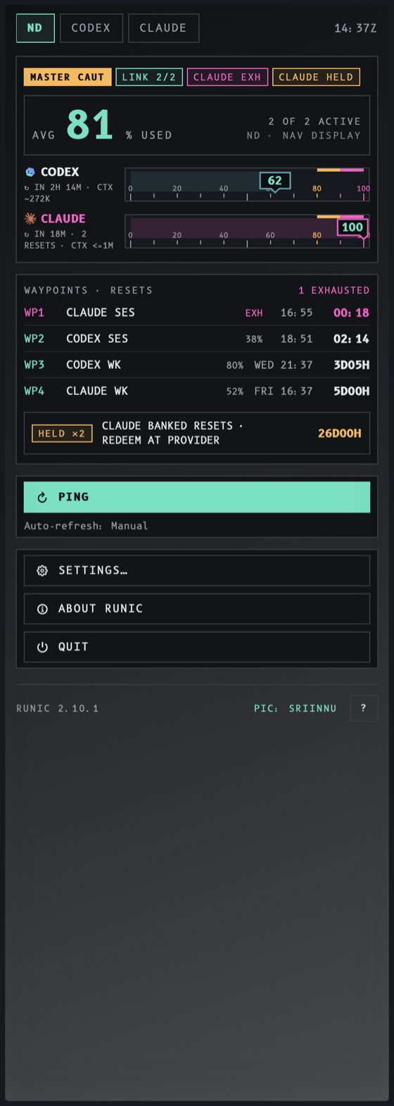 The Runic panel drawn by the Flight deck skin, with demo data